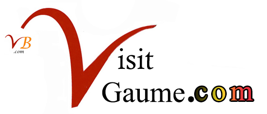 Logo du site